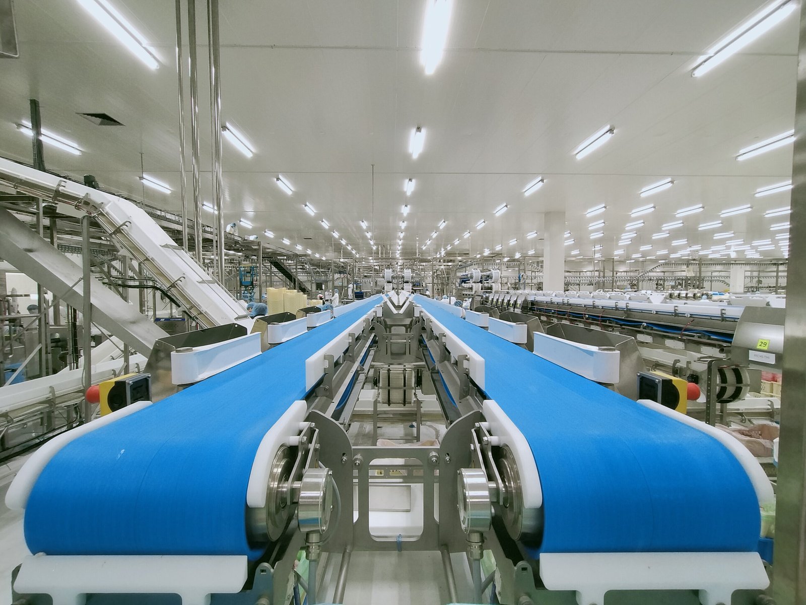 Five Early Signs a Conveyor Belt Needs Replacement